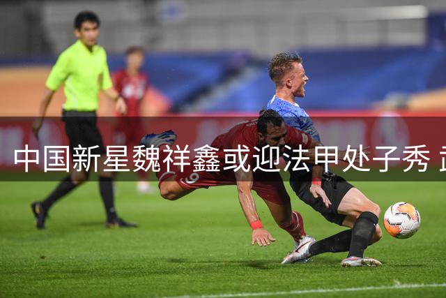中国新星魏祥鑫或迎法甲处子秀 武磊后五大联赛再现中国面孔