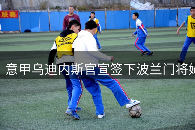 意甲乌迪内斯官宣签下波兰门将姆罗泽克