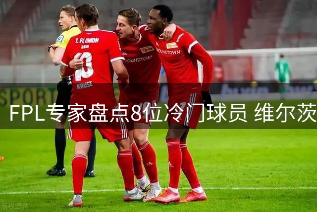 FPL专家盘点8位冷门球员 维尔茨格罗斯性价比超哈兰德B费